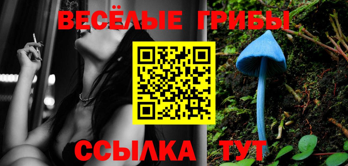 Кириши  Псилоцибиновые грибы Cubensis  Вход с VPN 