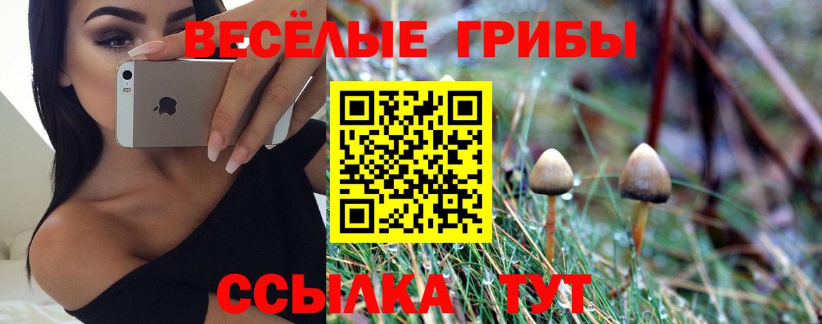 Псилоцибиновые грибы GOLDEN TEACHER Кириши